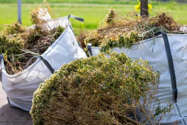 Best Yard Waste Removal  in West University Place, TX